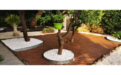 Jardin paysagé