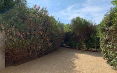Entretien de votre jardin